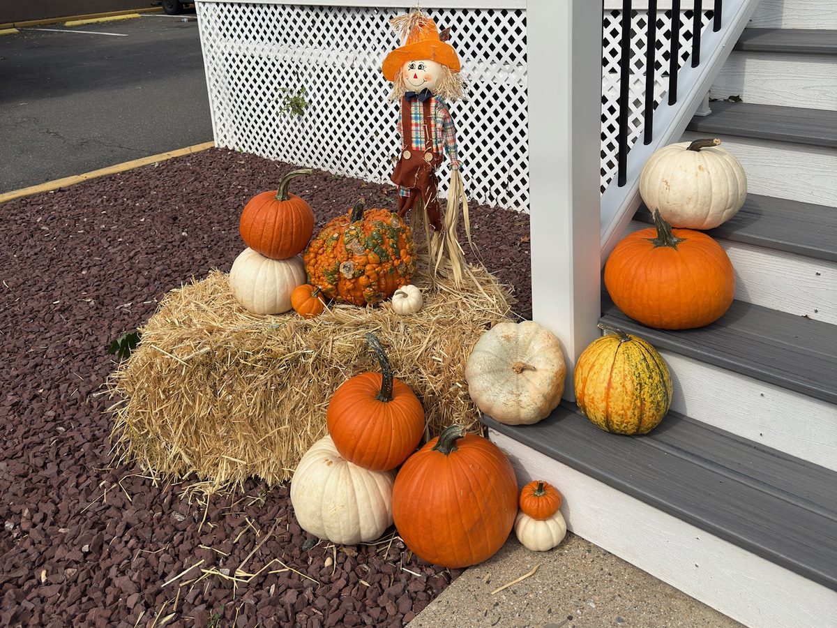 Close-up of a straw bale cluster with a scarecrow, warty heirloom pumpkin, and stacked orange and white pumpkins by Pascack Porches